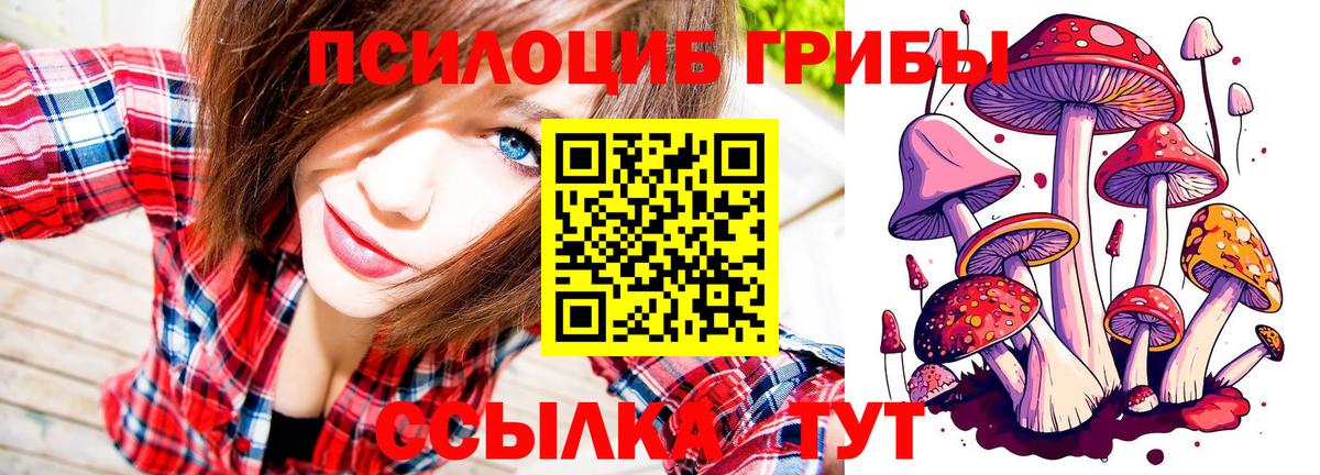 Псилоцибиновые грибы прущие грибы Донской